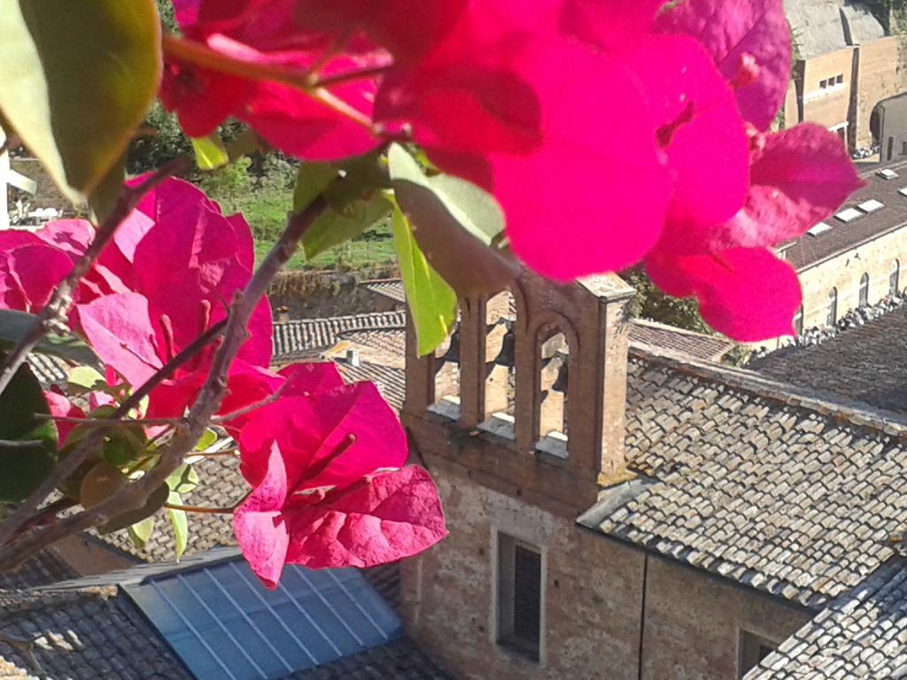 לינה וארוחת בוקר סיינה Residenza D'Epoca Campo Regio Relais מראה חיצוני תמונה
